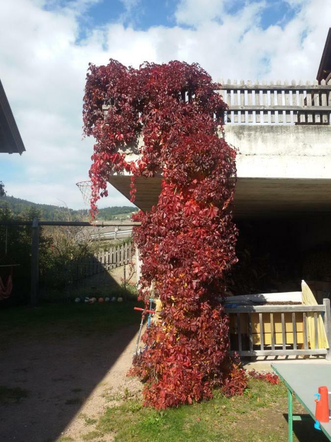 Pitterle Hof Villa Mölten Dış mekan fotoğraf
