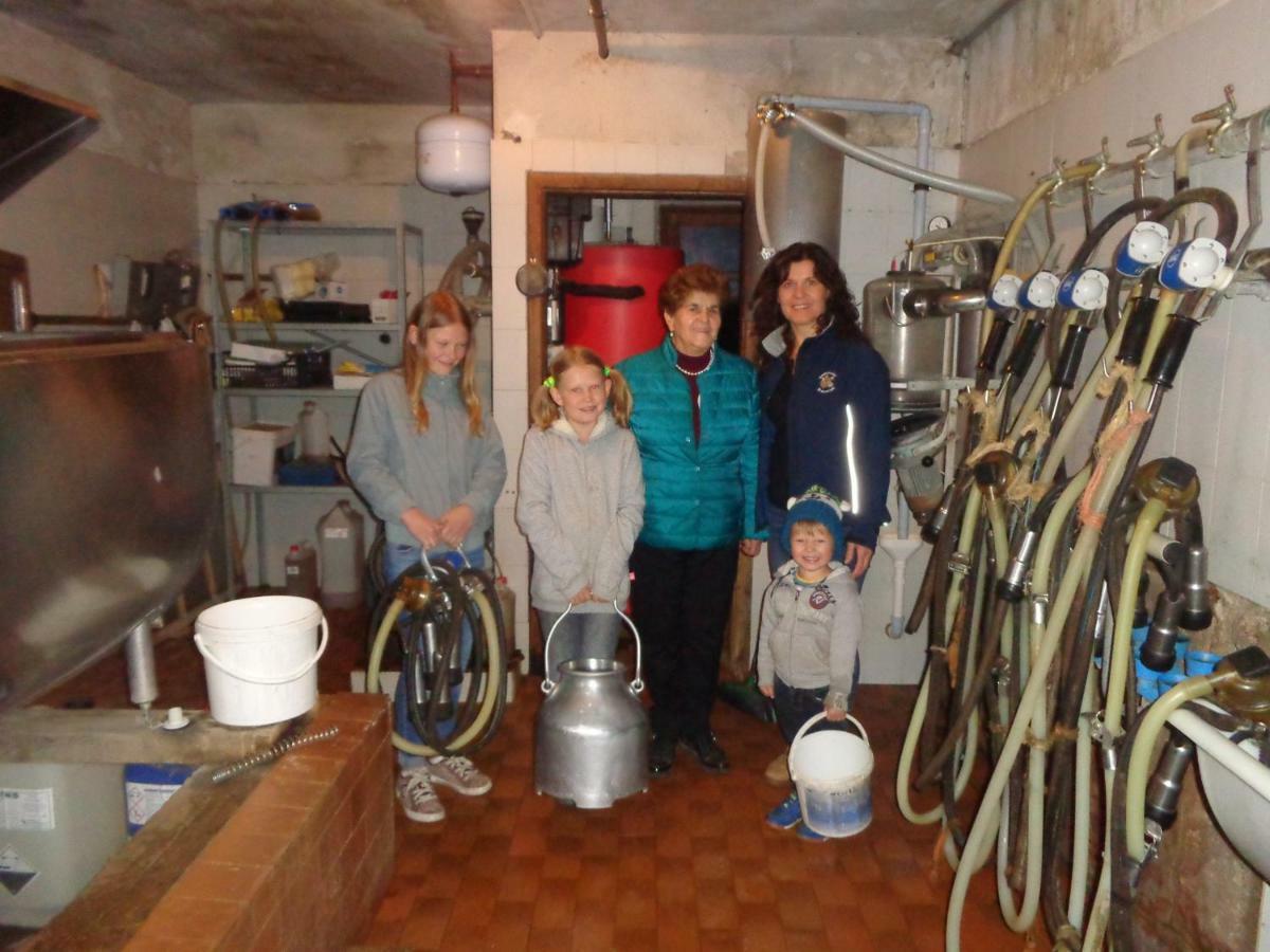 Pitterle Hof Villa Mölten Dış mekan fotoğraf